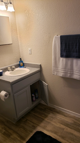 A bathroom with a sink, mirror, and toilet paper.