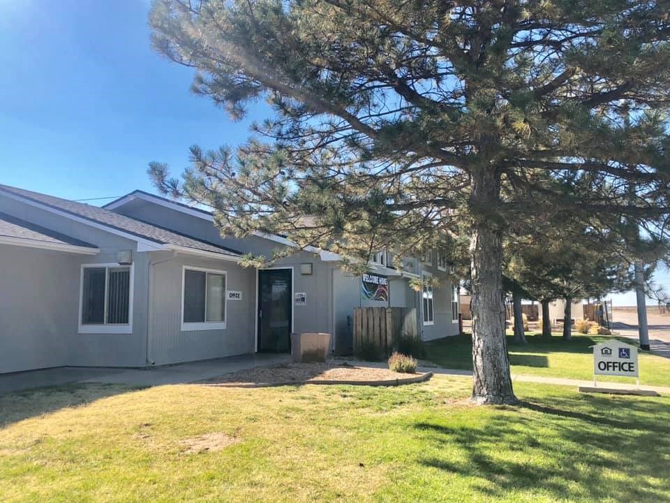 a gray house with a large tree in front of it