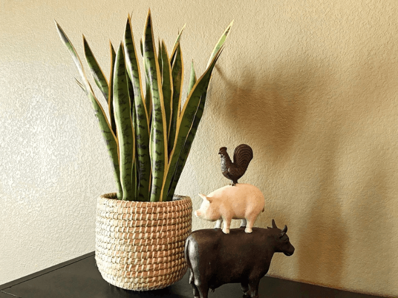 a potted plant and a cow and a chicken on a table