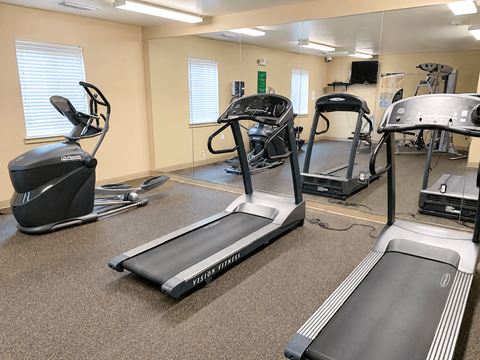 A gym with treadmills and elliptical machines.