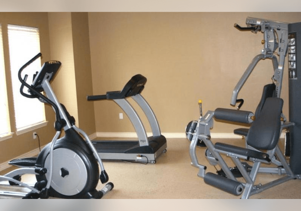 a bird sitting on the back of an exercise bike in a gym