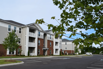 a street view of an apartment complex with a tree in the foreground