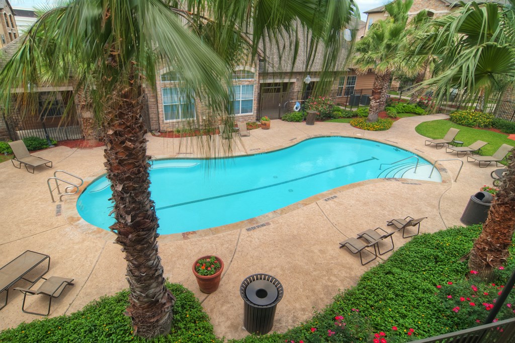 A pool surrounded by palm trees and a bench.