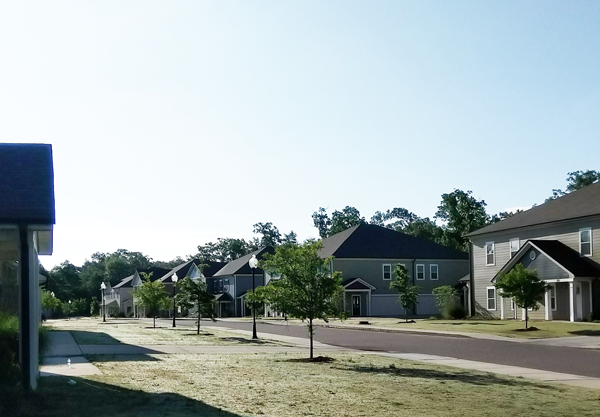 a row of houses on the side of a street