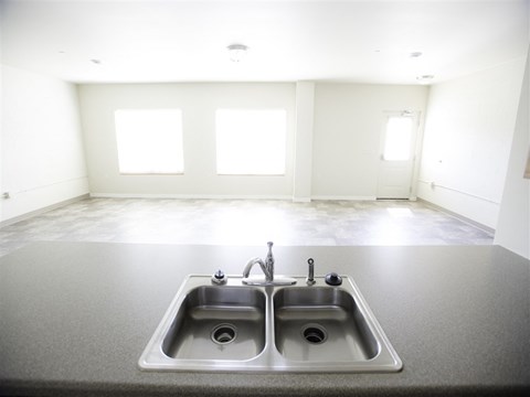 A kitchen with a double sink and a window.