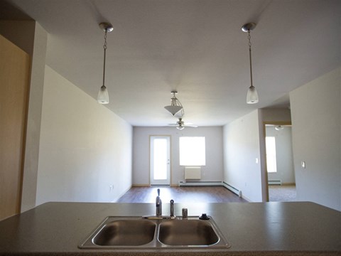 A kitchen with a sink and a window.