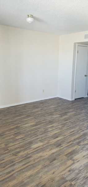A room with a wooden floor and a white door.