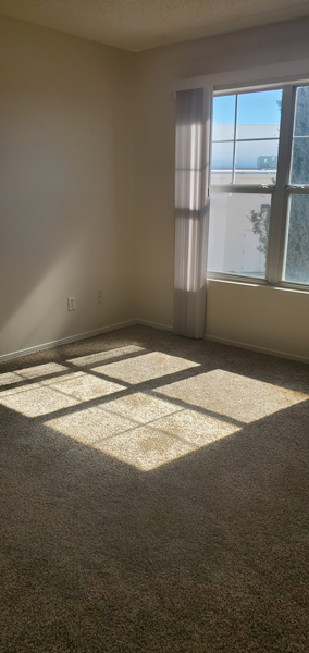 A sunny room with a large window and carpeted floor.