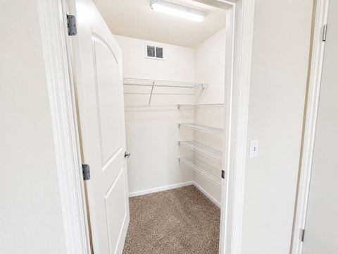 A white closet with a carpeted floor and shelves.