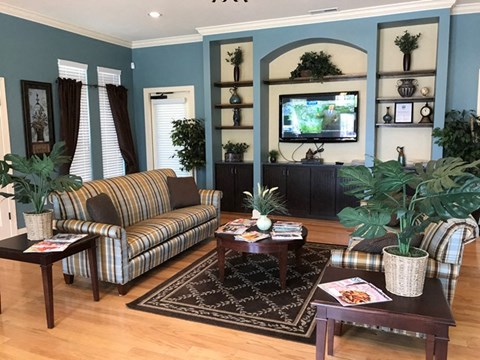 a living room with a couch and a table and a television