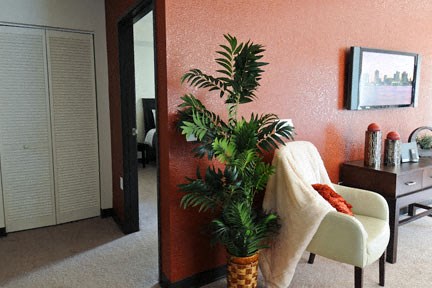 a living room with a white chair and a potted plant