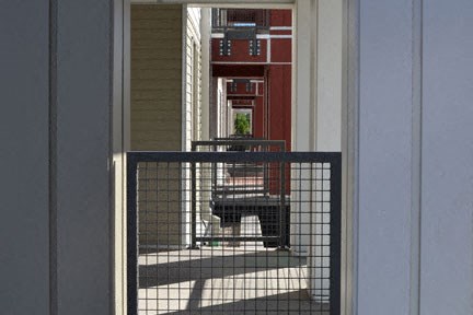 a black dog standing in front of a red door