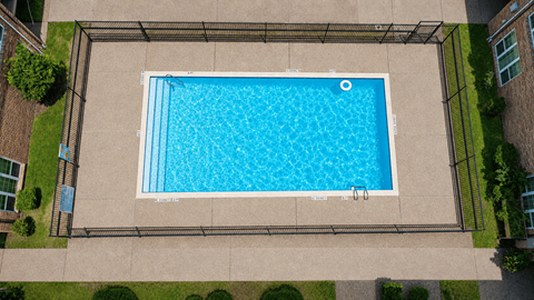 A rectangular pool with a blue tiled edge and a white circular object in the middle.