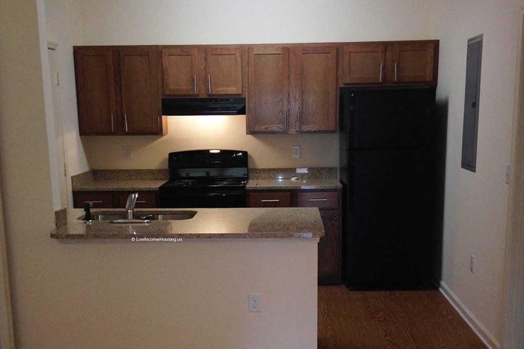 a kitchen with a black refrigerator and a sink