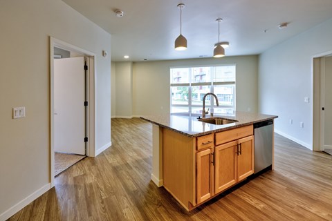 A kitchen with a sink and a window.