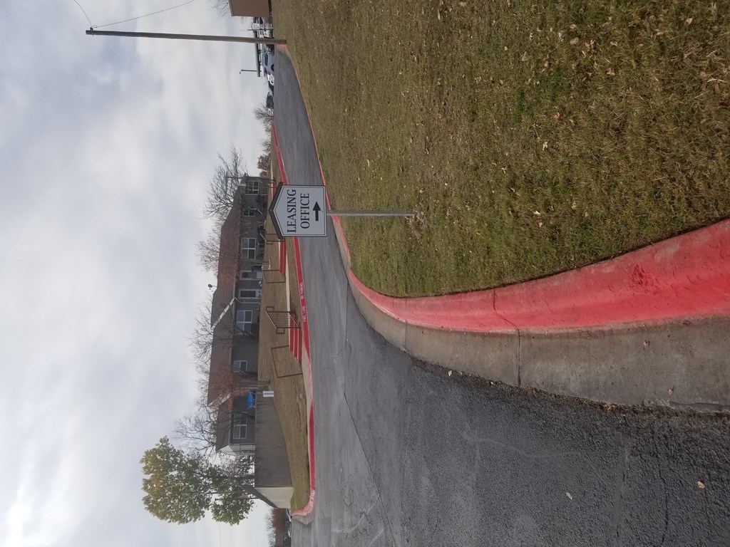 A street view with a red curb and a sign that says "No Parking".