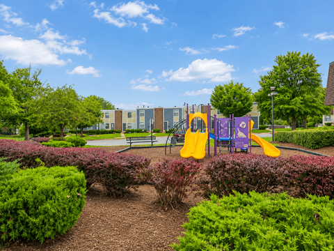 A playground with a purple slide and a yellow slide.