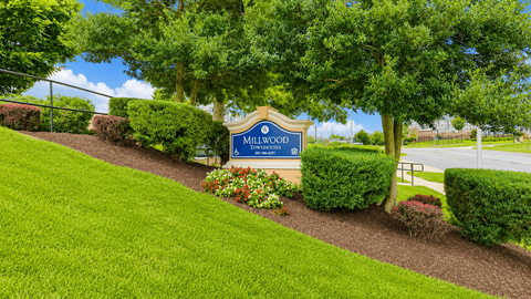 A sign that says Millwood stands in a grassy area.