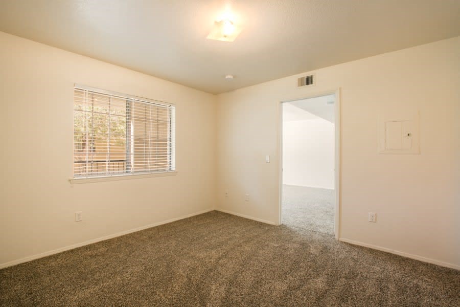 Large bedroom with plush carpeting