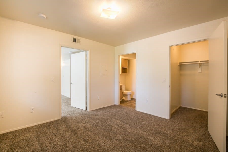 Spacious main bedroom with a private bathroom and walk-in closet