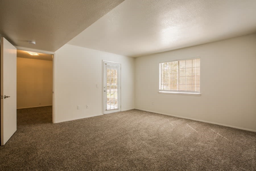 Living room area with tall ceilings and patio access