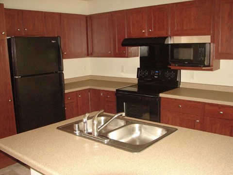 A kitchen with a black refrigerator and black stove.