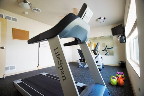 A treadmill with the brand name Lifespan on it.