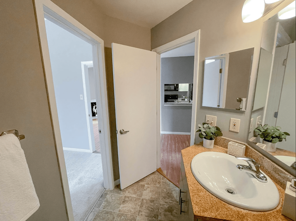 a bathroom with a sink and a mirror
