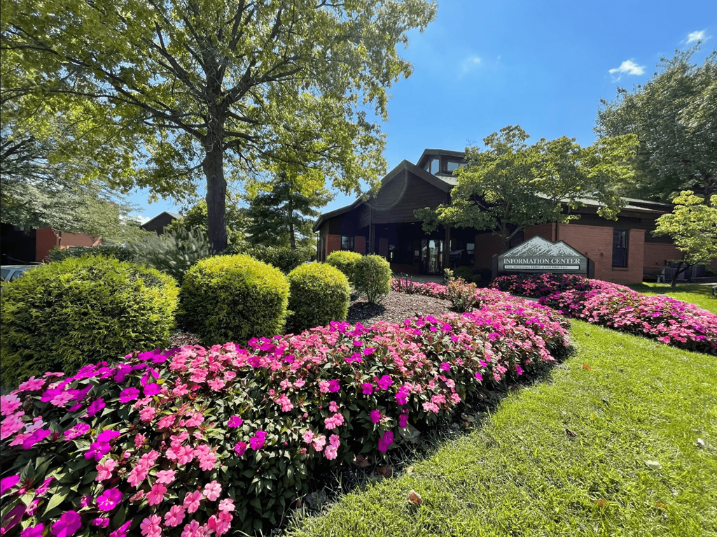 a row of pink flowers in front of a house