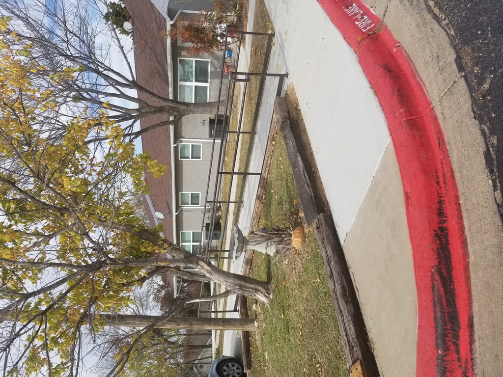 A tree with yellow leaves is in front of a building.