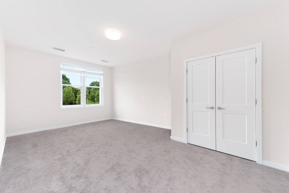 Carpet and closet of bedroom
