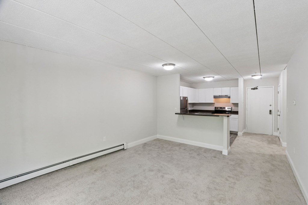 A white room with a carpeted floor and a counter in the background.
