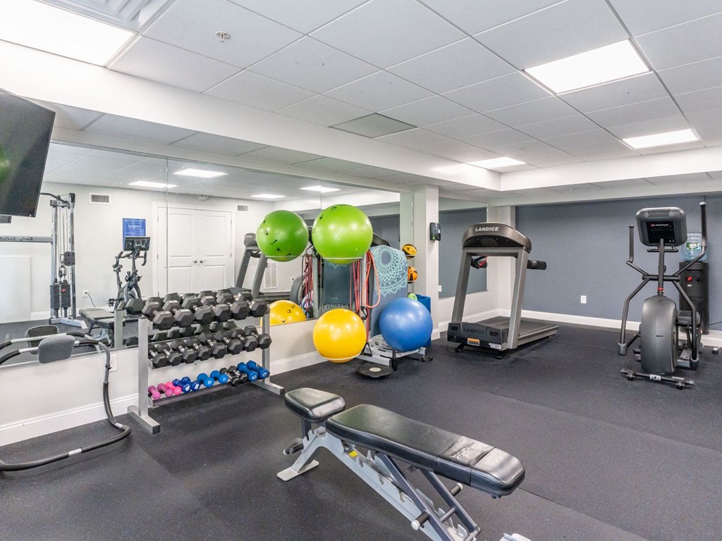 the gym is updated with weights and other gym equipment at trillium apartments
