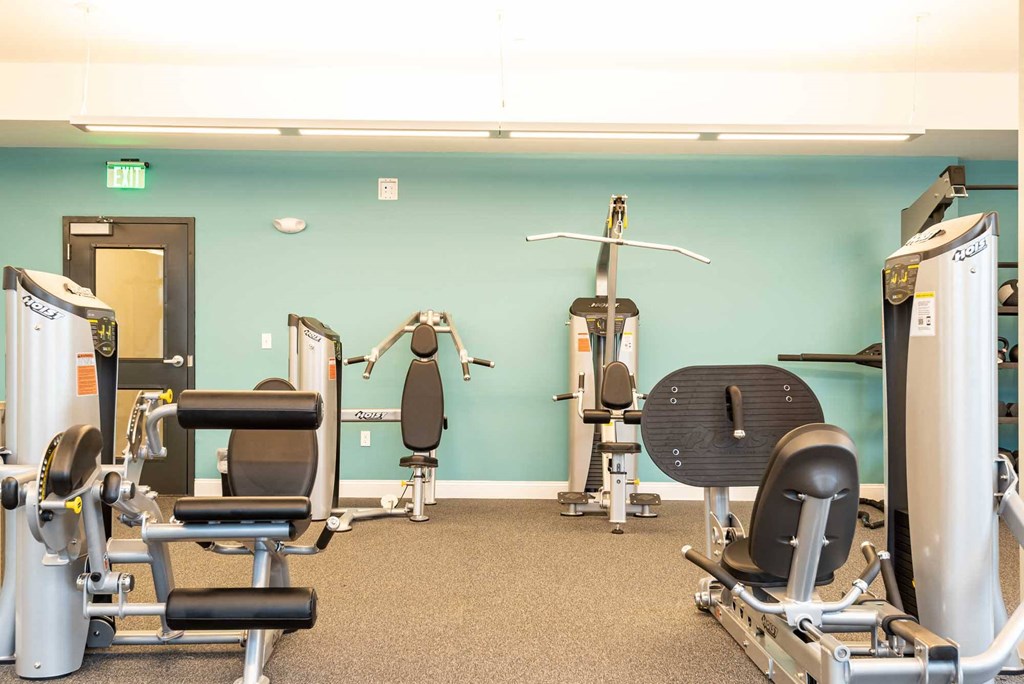 Fitness equipment in the gym