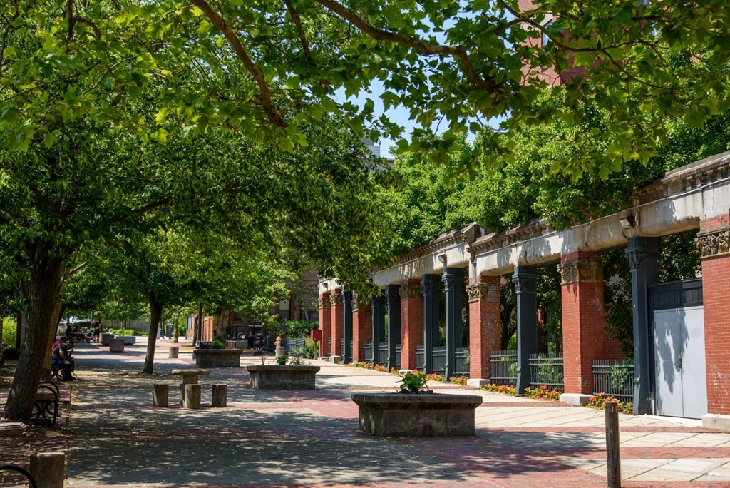 A tree-lined walkway with benches and a brick building in the background.