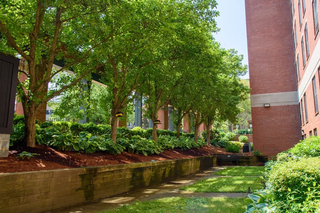 A green tree in front of a red building.