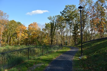 nearby walking trails - Photo Gallery 25