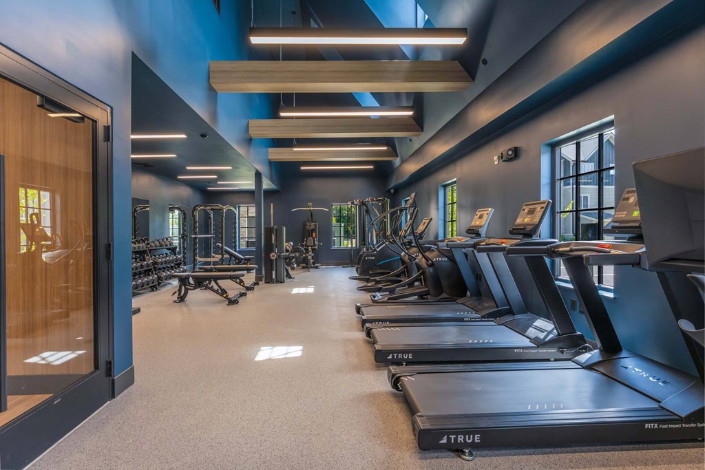 Cardio area with treadmills and large windows in The Devon at Weiss Farm fitness center in Stoneham, MA.