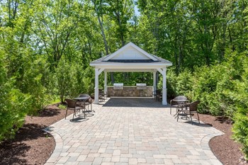 Grilling station surrounded by foliage and woods - Photo Gallery 4