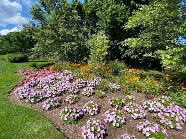 Flowers at Kent Village