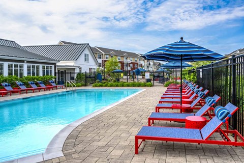 A row of red sun loungers are on the edge of a pool.