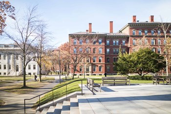 Harvard University at Union 346, Somerville, MA - Photo Gallery 22