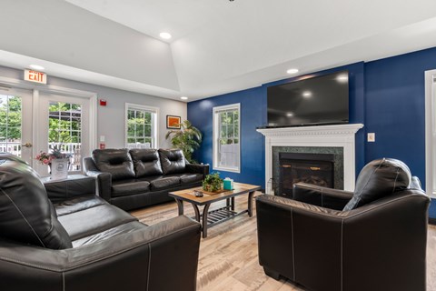 A living room with a fireplace and a television.