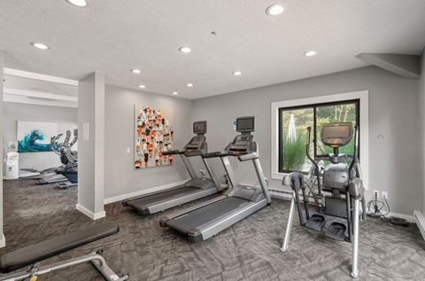A spacious home gym with treadmills and elliptical machines.