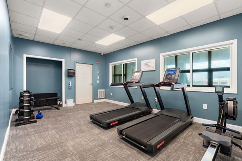 A gym with treadmills, a weight bench, and a rowing machine.