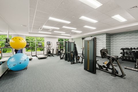 A gym with a variety of equipment including a blue exercise ball and a yellow exercise ball.