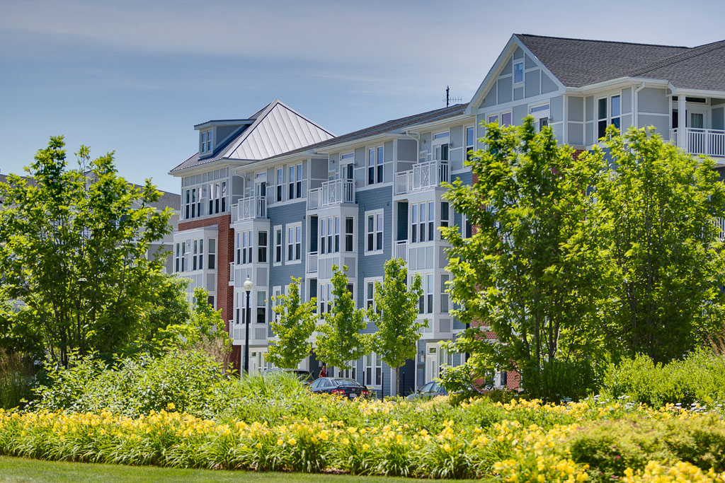 Landscaping at the Commons