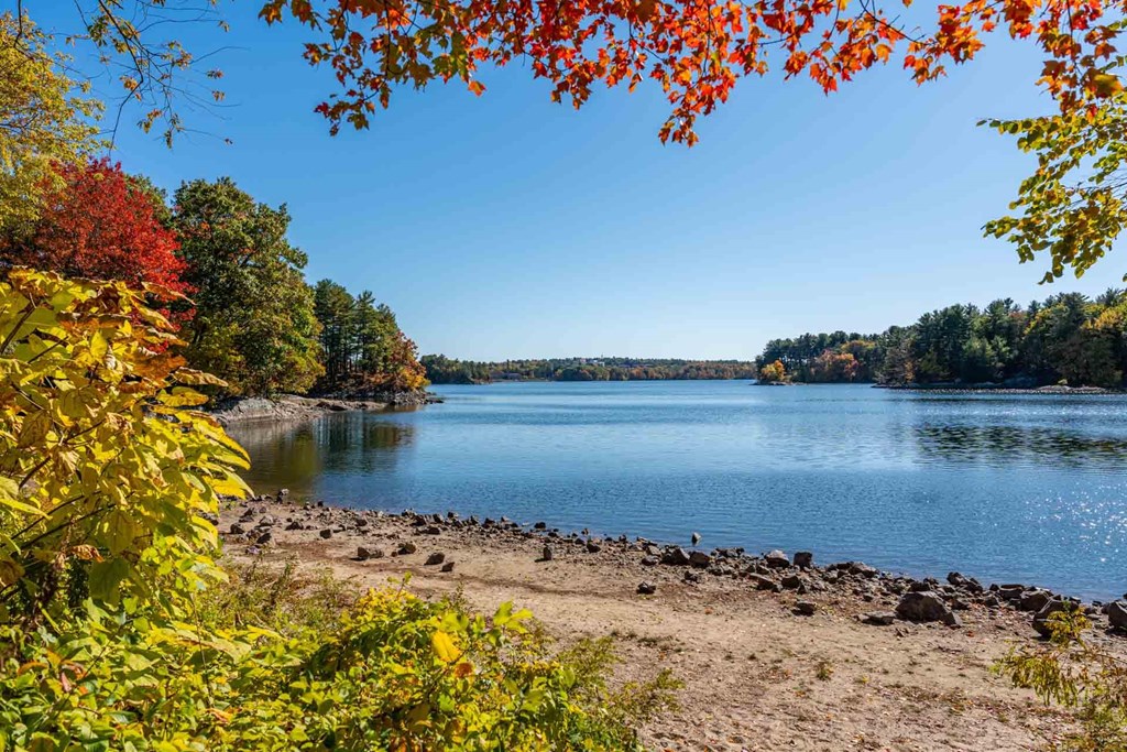 A lake surrounded by trees with autumn leaves.