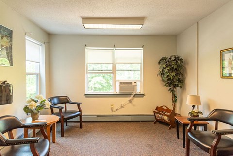 A living room with a large window and a potted plant.