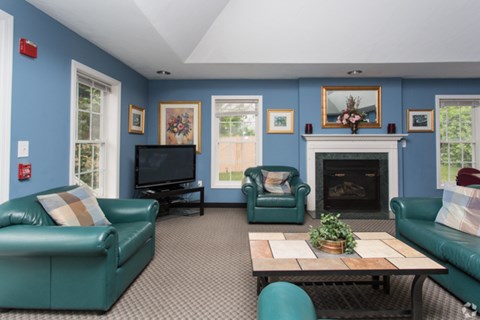 A living room with a fireplace and a television.